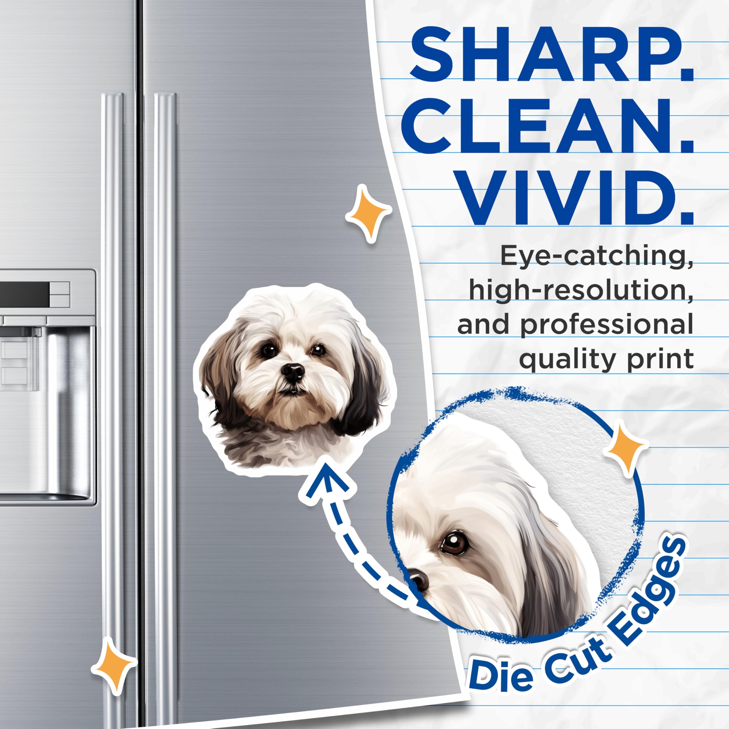 (2 Pack) Havanese Dog Magnets - Adorable Puppy Pet Artwork - Animal Lover Fridge Decor - Canine Companion Home Accent - 5 Inches On Longest Side - Thick Durable Magnet - Made in USA - MAG24214