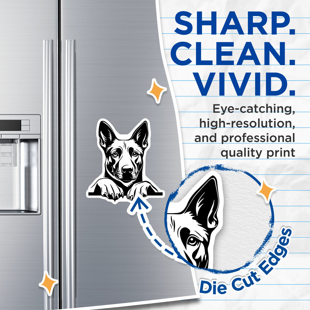 (2 Pack) German Shepherd Magnets - Dog Lover Decor - Pet Owner Refrigerator Art - Animal Themed Kitchen Display - 5 Inches On Longest Side - Thick Durable Magnet - Made in USA - MAG39950
