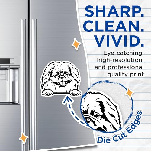(2 Pack) Dog Magnets - Cute Dog Face Magnets - Puppy Animal Magnet - Home Fridge ation Magnet - 5" On Longest Side - for Cars, Fridges, Toolboxes - Made in USA - MAG4047