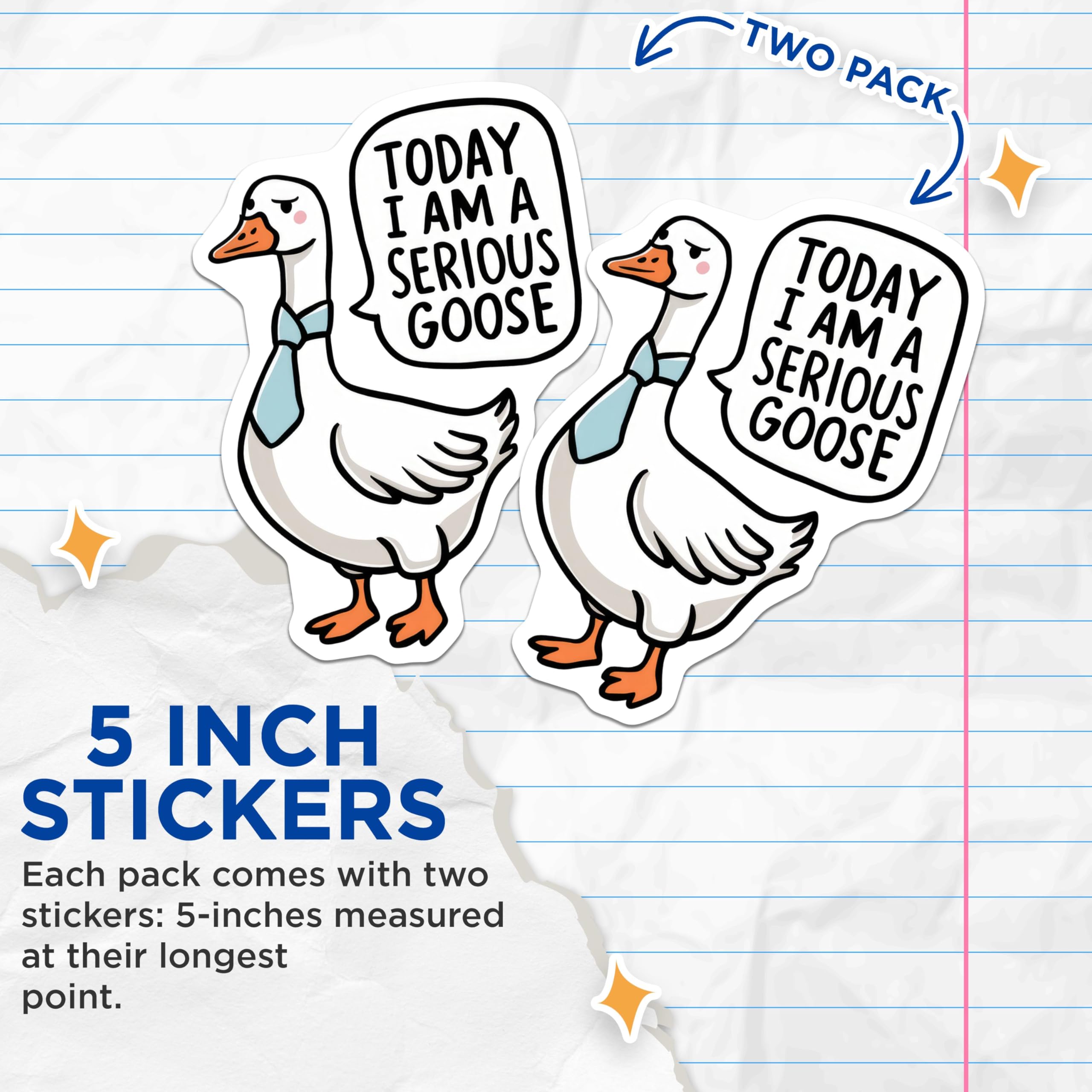 (2 Pack) Serious Goose Stickers - Funny Quote Stickers - Animal Humor Decal - 5" On Longest Side - Sticks to Smooth Flat Surfaces - Made in USA - BMCS4613