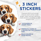 (3 Pack) Beagle Decals - Laptop Stickers - Dog Breed Decals - 3 Inches On Longest Side - Easy Peel & Apply - Made in USA - 3MCS8585