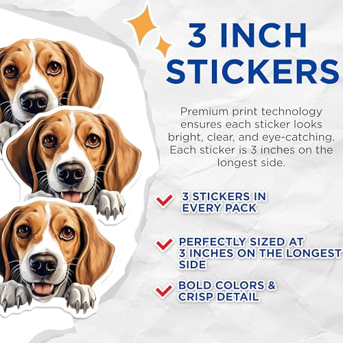 (3 Pack) Beagle Decals - Laptop Stickers - Dog Breed Decals - 3 Inches On Longest Side - Easy Peel & Apply - Made in USA - 3MCS8585