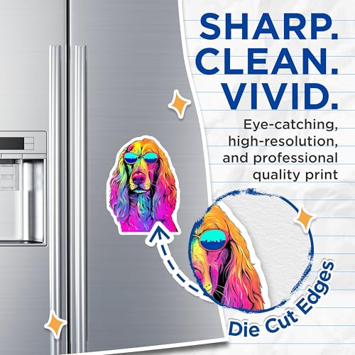 (2 Pack) Cool Dog Magnets - Colorful Dog Magnets - Funky Animal Art Magnets - Canine Sunglasses Magnets - 5" On Longest Side - for Cars, Fridges, Toolboxes - Made in USA - MAG7237