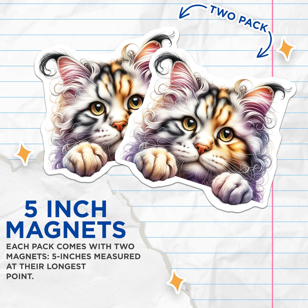 (2 Pack) Fluffy Cat Magnets - Cute Kitten Decor - Fridge Magnets Set - 5" On Longest Side - Premium Magnet - for Cars, Refrigerators, Toolboxes, Lockers - Made in USA - MAG14054
