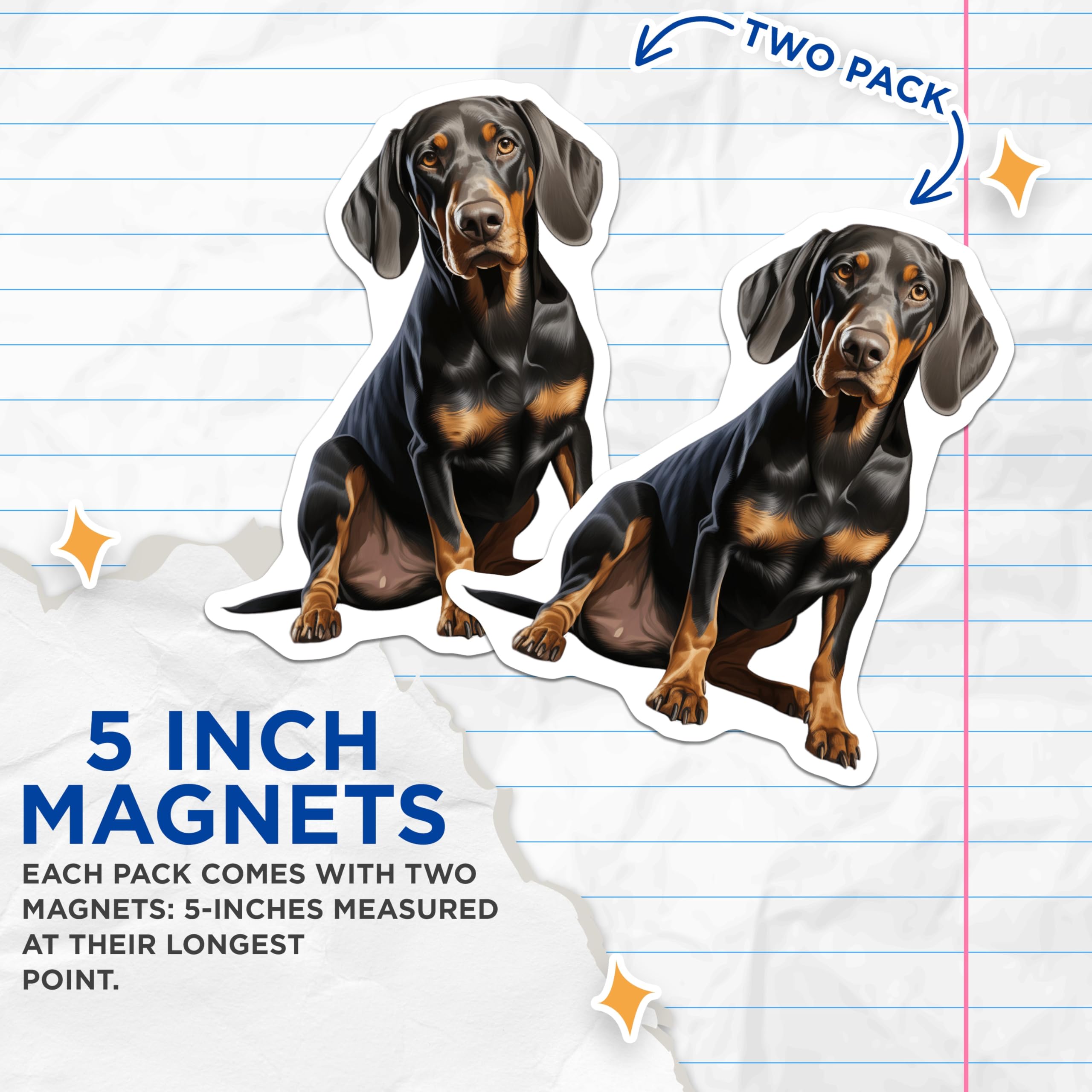 (2 Pack) Black and Tan Coonhound Magnets - Lifelike Scenthound Dog Art - Canine Pet Lover Refrigerator Locker Decor - 5 Inches On Longest Side - Thick Durable Magnet - Made in USA - MAG23965