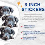 (3 Pack) Blue Eyed Puppy Decals - Cute Dog Decal - Laptop Decal - 3 Inches On Longest Side - Easy Peel & Apply - Made in USA - 3MCS8639