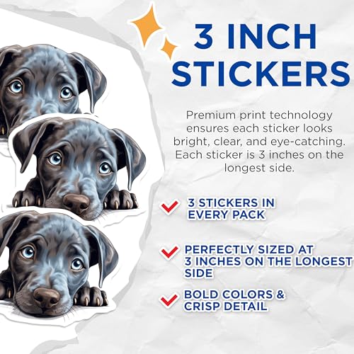 (3 Pack) Blue Eyed Puppy Decals - Cute Dog Decal - Laptop Decal - 3 Inches On Longest Side - Easy Peel & Apply - Made in USA - 3MCS8639