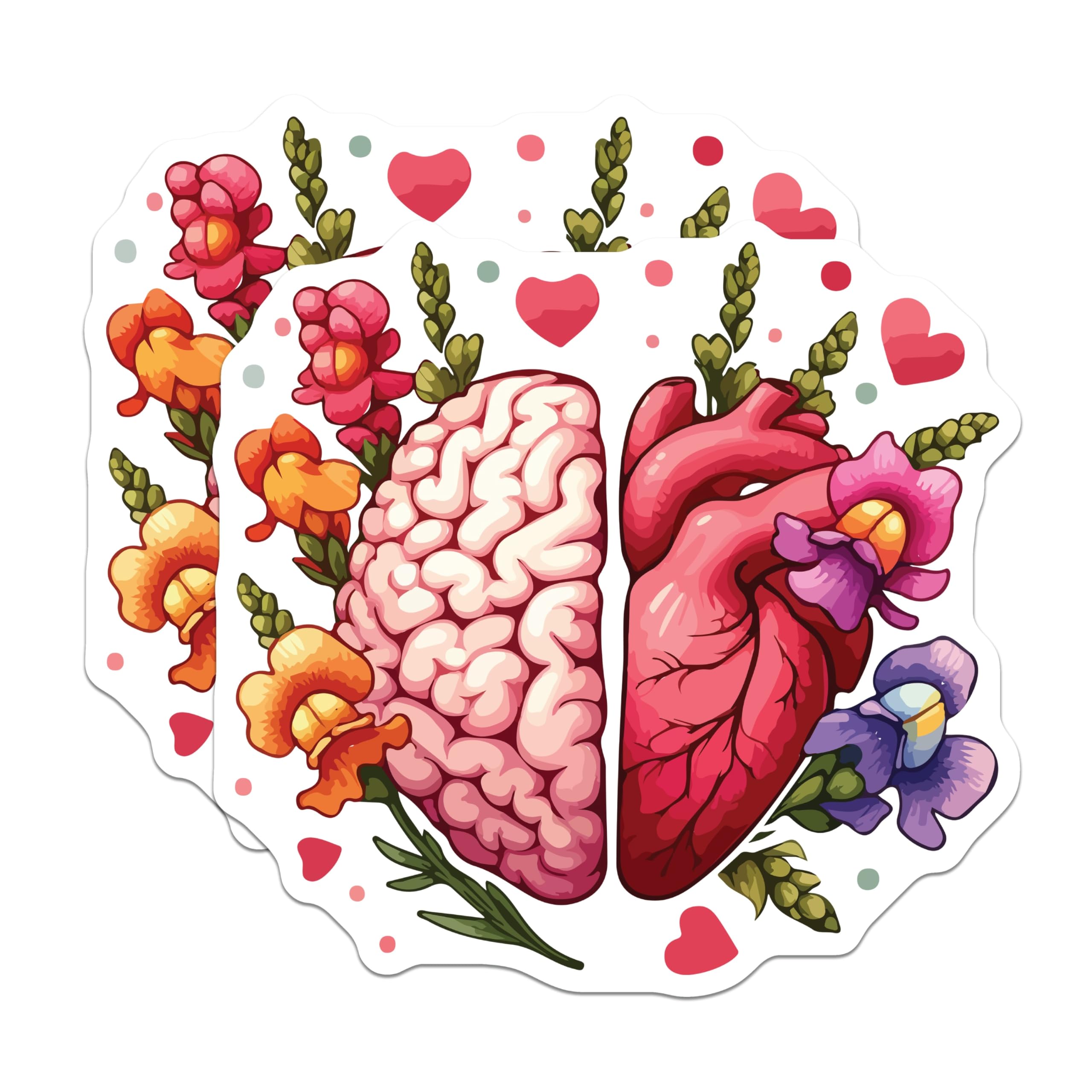 (2 Pack) Brain Heart Magnets - Floral Anatomy Decor - Emotional Balance Art - 5 Inches On Longest Side - Thick Durable Magnet - Made in USA - MAG19849