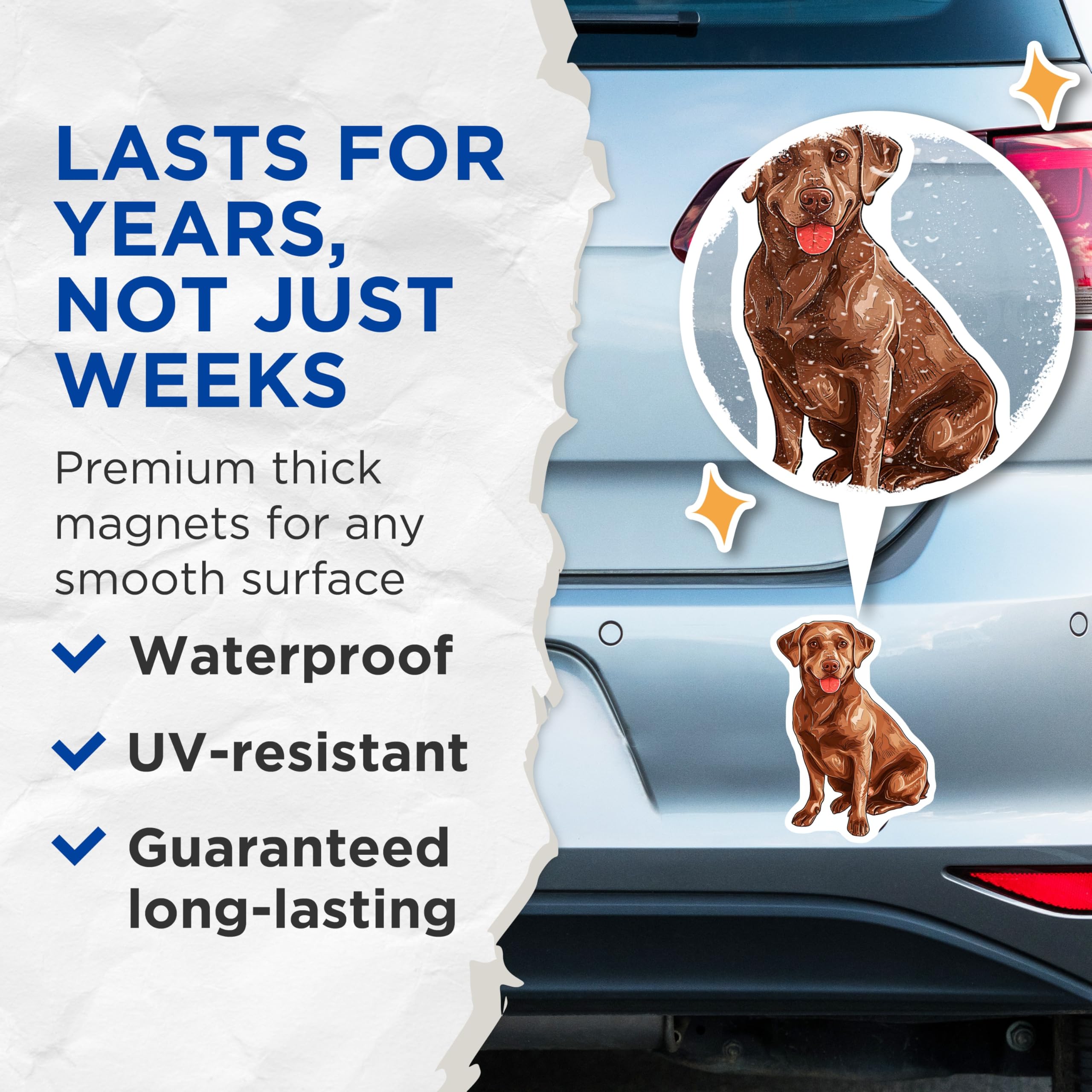 (2 Pack) Chocolate Labrador Magnets - Cute Dog Refrigerator Decoration - Pet Lover Gifts - 5" On Longest Side - Premium Magnet - for Cars, Refrigerators, Toolboxes, Lockers - Made in USA - MAG16924