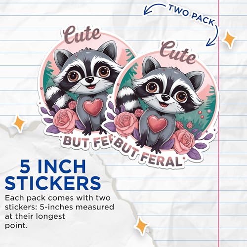 (2 Pack) Cute Raccoon Stickers - Adorable Animal Stickers - Fun Raccoon Decals - 5" On Longest Side - Sticks to Any Smooth Flat Surface - Made in USA - BMCS2912