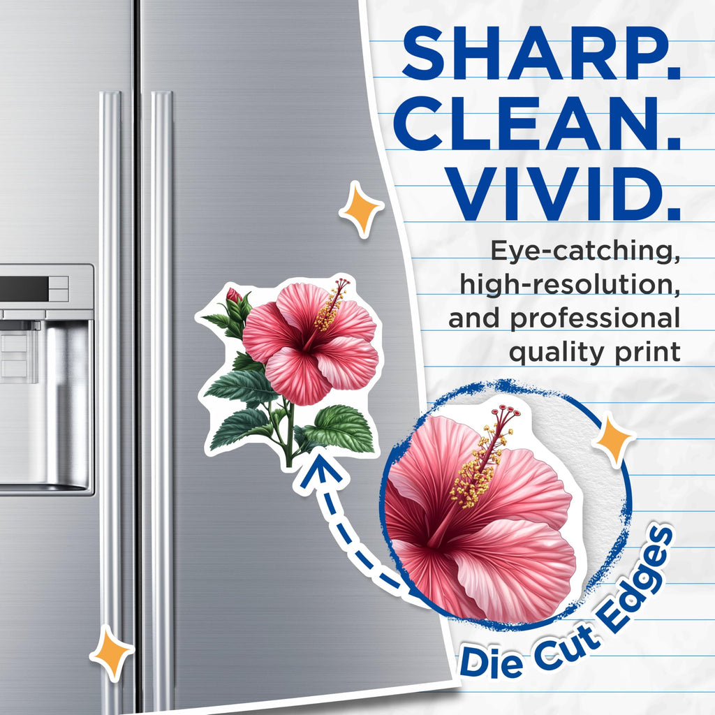 (2 Pack) Pink Hibiscus Magnets - Tropical Flower Art - Botanical Fridge Decor - Plant Lover Kitchen Aesthetic - 5 Inches On Longest Side - Thick Durable Magnet - Made in USA - MAG27998