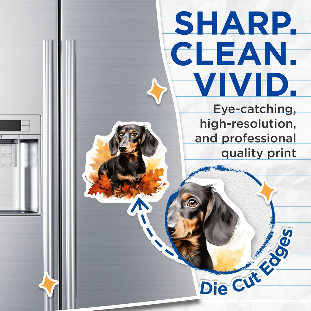 (2 Pack) Dachshund Dog Magnets - Fall Leaves Pet Decor - Wiener Dog Refrigerator Art - 5 Inches On Longest Side - Thick Durable Magnet - Made in USA - MAG24604