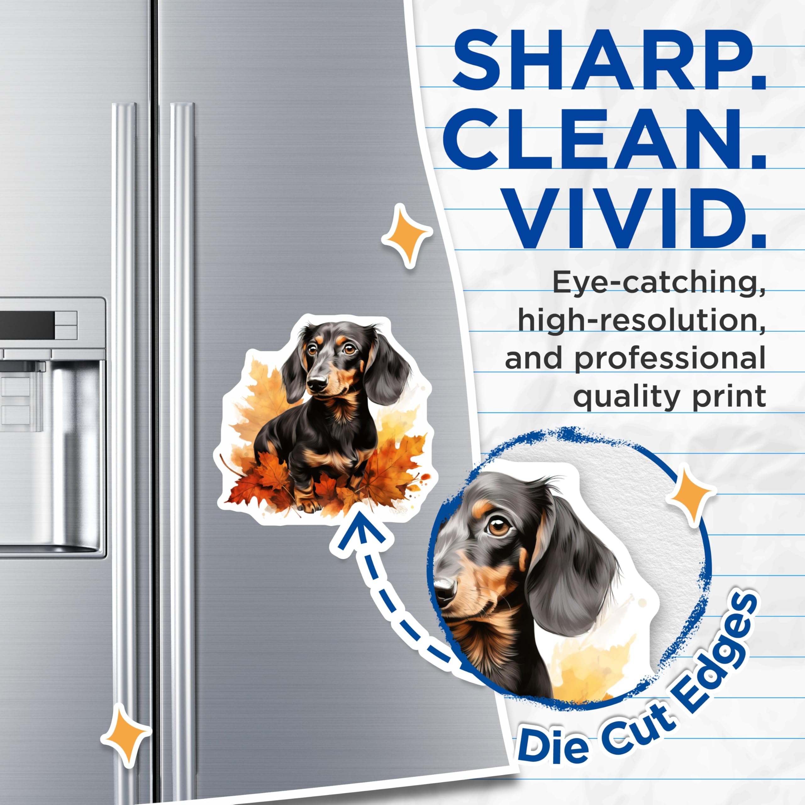 (2 Pack) Dachshund Dog Magnets - Fall Leaves Pet Decor - Wiener Dog Refrigerator Art - 5 Inches On Longest Side - Thick Durable Magnet - Made in USA - MAG24604