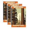 (3 Pack) Sequoia National Park Decals - Vintage National Park - Laptop Decal - 3 Inches On Longest Side - Easy Peel & Apply - Made in USA - 3MCS1389