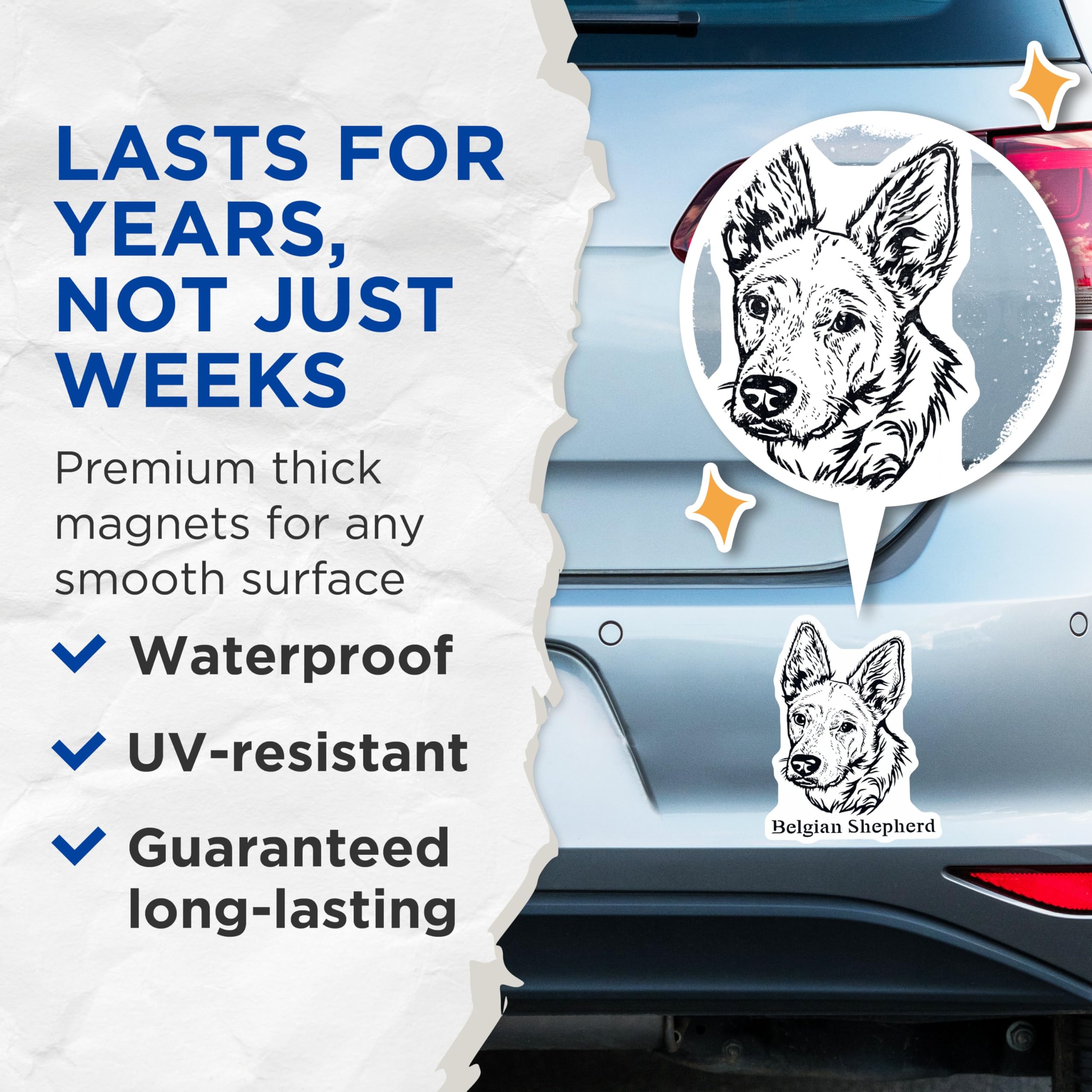 (2 Pack) Belgian Shepherd Dog Magnets - High Detail Canine Art - Ative Animal Magnets for Fridge - Dog Lover Home - 5" On Longest Side - for Cars, Fridges, Toolboxes - Made in USA - MAG4018