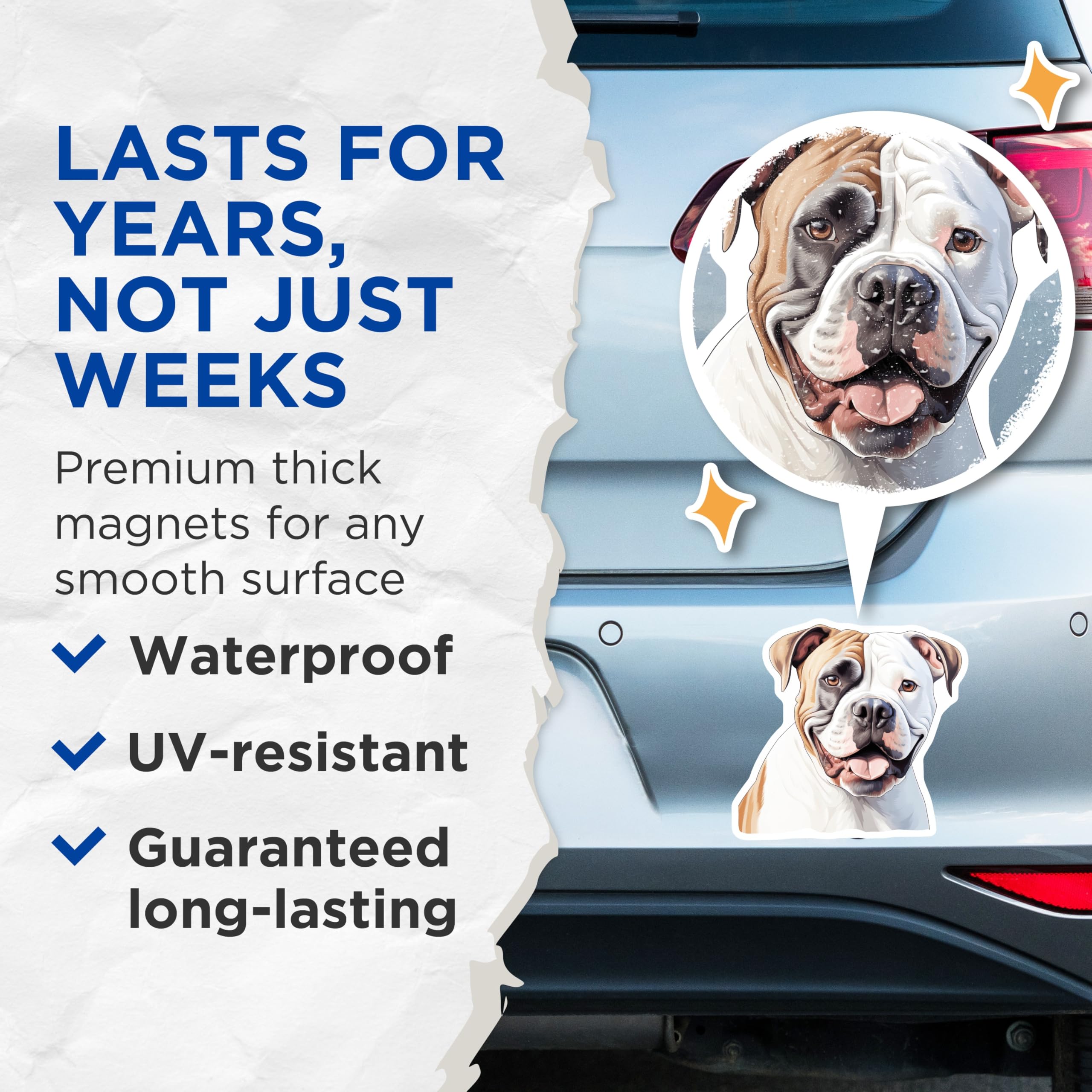 (2 Pack) American Bulldog Magnets - Dog Lover Decor - Pet Parent Fridge Art - 5 Inches On Longest Side - Thick Durable Magnet - Made in USA - MAG25847
