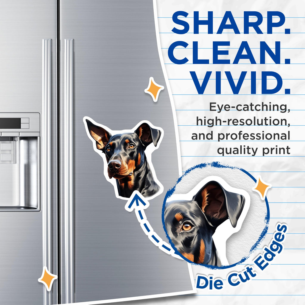 (2 Pack) Doberman Pinscher Dog Magnets - Doberman Breed Specific Pet Lover Accent - Animal Art Fridge Decor - 5 Inches On Longest Side - Thick Durable Magnet - Made in USA - MAG27293