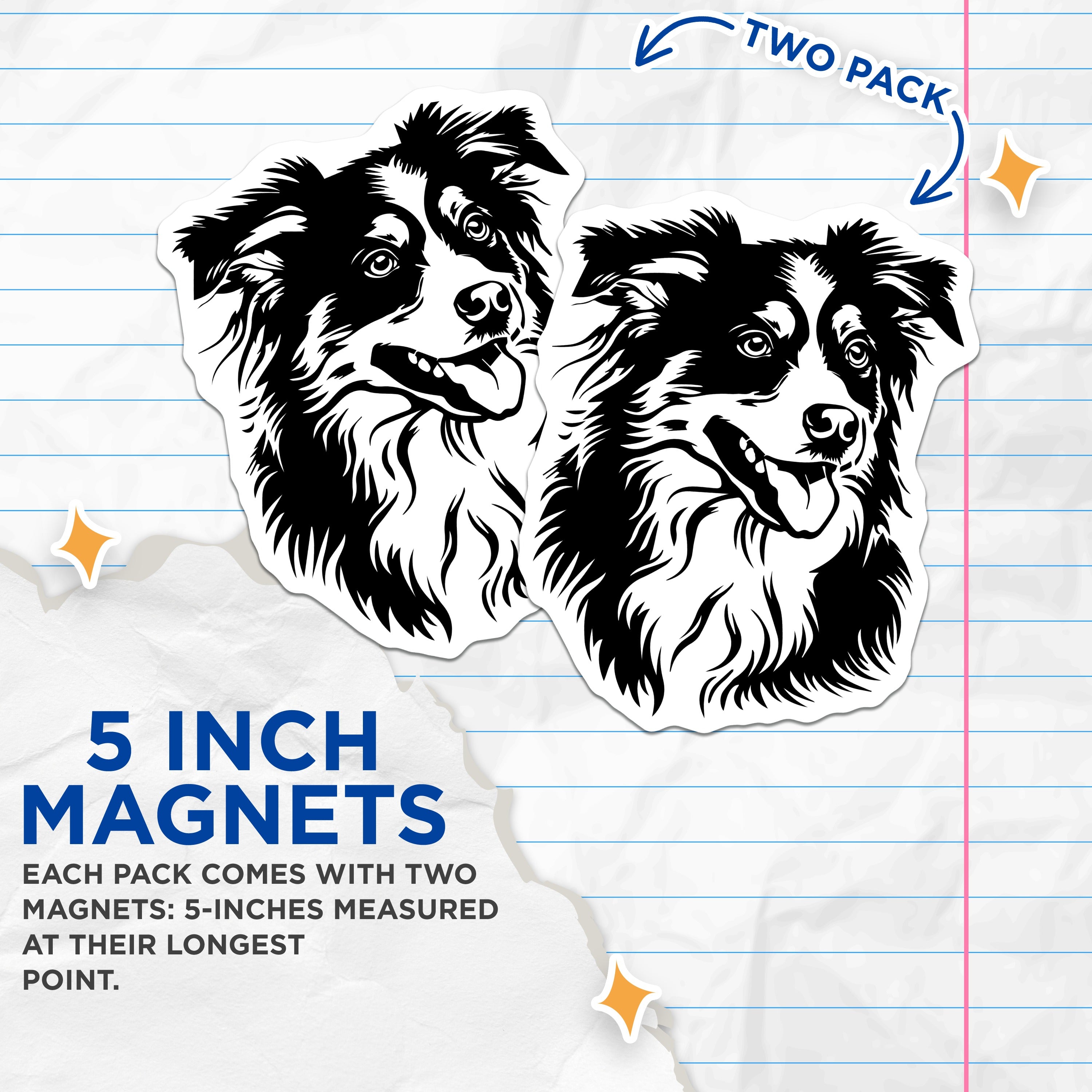 (2 Pack) Border Collie Magnets - Dog Lover Refrigerator Decor - Pet Owner Kennel Accessories for Fridge - 5 Inches On Longest Side - Thick Durable Magnet - Made in USA - MAG36382