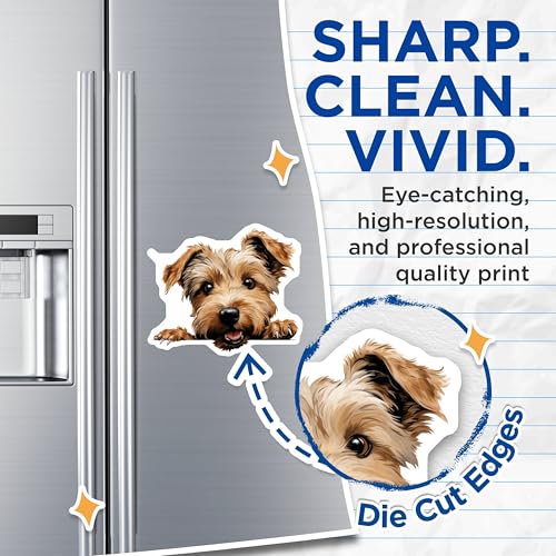 (2 Pack) Cute Puppy Magnet - Fridge Decor - Animal Lover Gift - Kitchen Fun - 5" On Longest Side - Sticks to Smooth Flat Surfaces - Made in USA - MAG10180