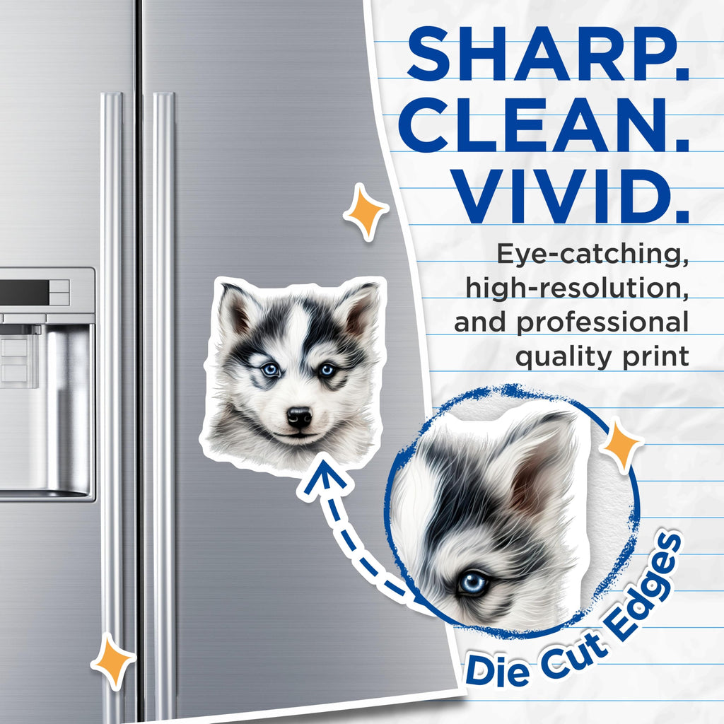 (2 Pack) Siberian Husky Puppy Magnets - Blue Eyed Dog Fridge Decor - Cute Animal Lover Kitchen Display - 5 Inches On Longest Side - Thick Durable Magnet - Made in USA - MAG26393