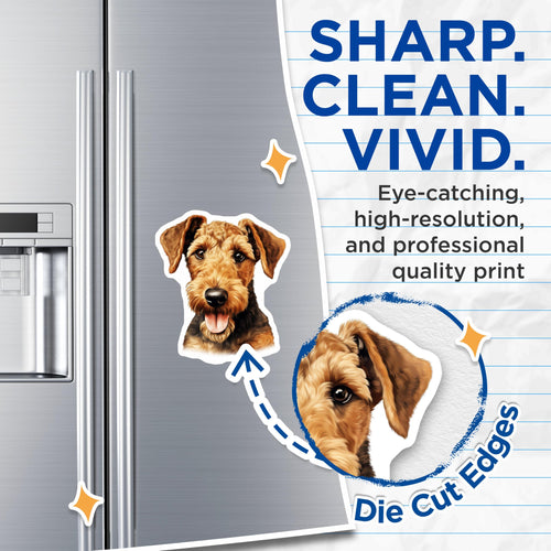 (2 Pack) Airedale Terrier Dog Magnets - Dog Lover Kitchen Decor - Pet Parent Refrigerator Art - 5 Inches On Longest Side - Thick Durable Magnet - Made in USA - MAG27787