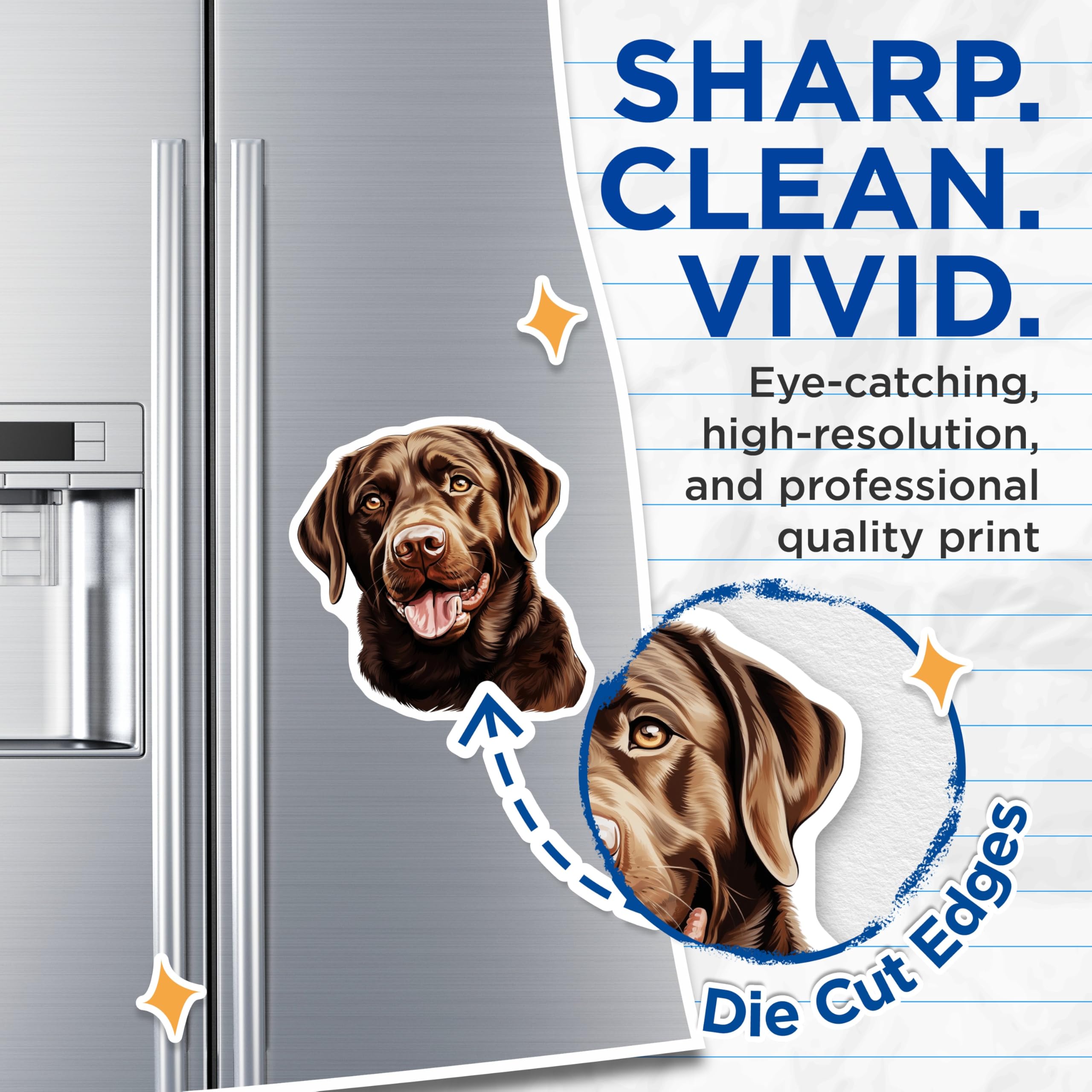 (2 Pack) Chocolate Lab Magnets - Labrador Retriever Decor - Dog Mom Dad Present - Pet Lover Kitchen Art - 5 Inches On Longest Side - Thick Durable Magnet - Made in USA - MAG25073