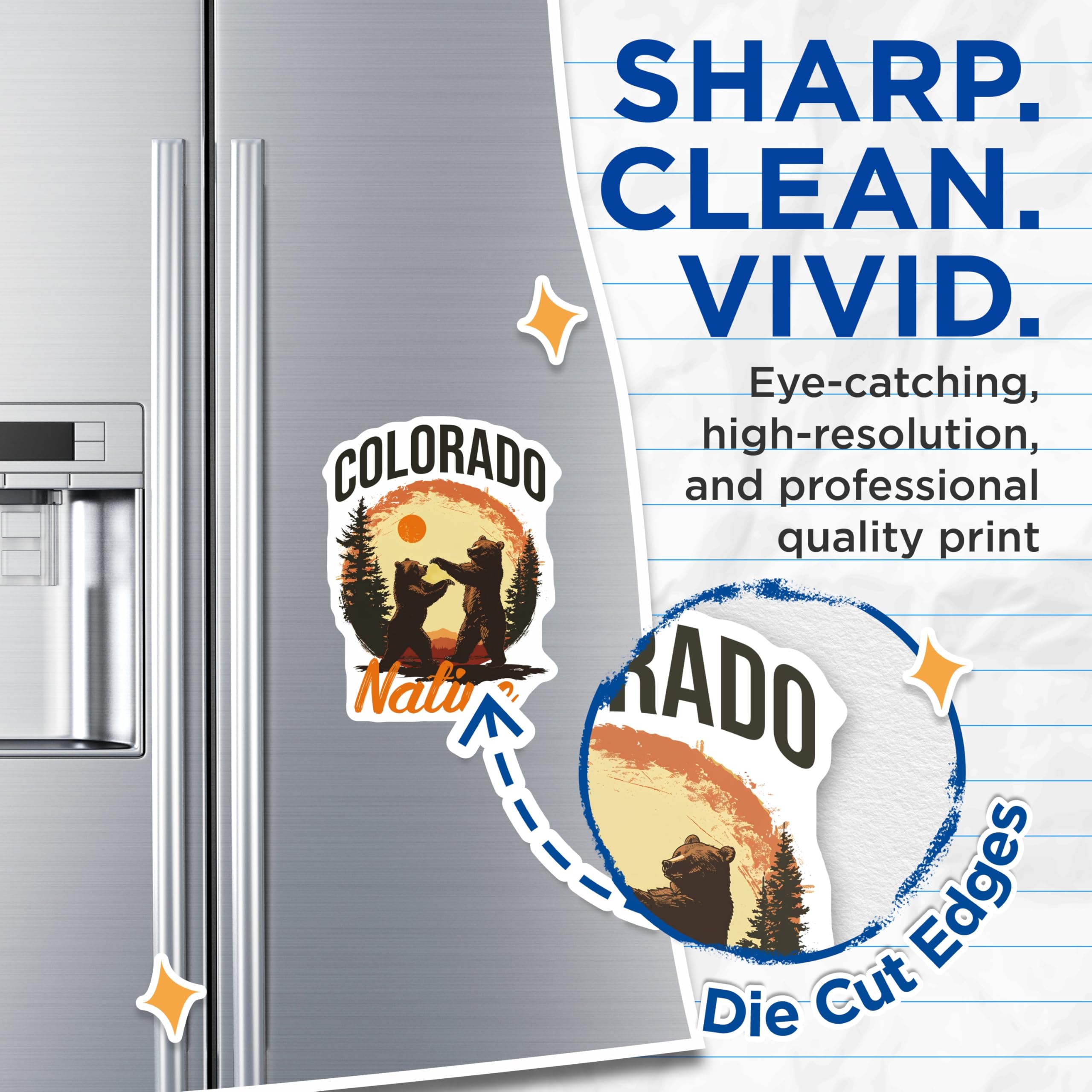 (2 Pack) Colorado Bear Magnets - Native Wildlife - Rocky Mountains Souvenir - 5" On Longest Side - Premium Magnet - for Cars, Refrigerators, Toolboxes, Lockers - Made in USA - MAG17201