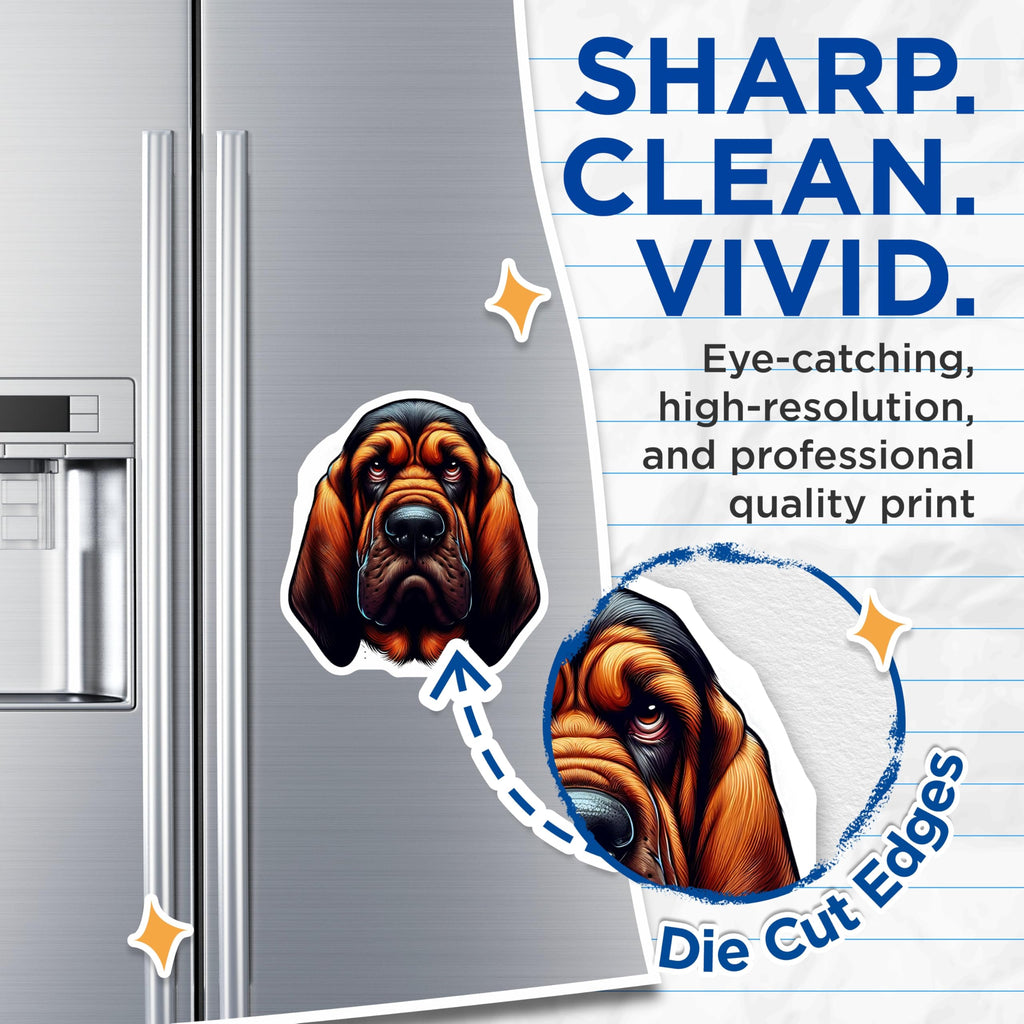 (2 Pack) Bloodhound Dog Magnets - Hound Breed Lover - Decorative Fridge Decor Hound Mom - 5" On Longest Side - Premium Magnet - for Cars, Refrigerators, Toolboxes, Lockers - Made in USA - MAG15790