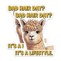 (2 Pack) Bad Hair Day Alpaca Magnets - Funny Llama Refrigerator Magnet - Curly Hair Meme Humor Locker Decor - Quirky Animal Office Display - 5" - Durable Magnet - Made in USA - MAG37622