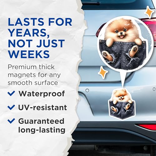 (2 Pack) Cute Pomeranian Dog Magnets - 3D Pet Magnets for Fridge - Animal Refrigerator - Adorable Pet Magnets - 5" On Longest Side - for Cars, Fridges, Toolboxes - Made in USA - MAG4249
