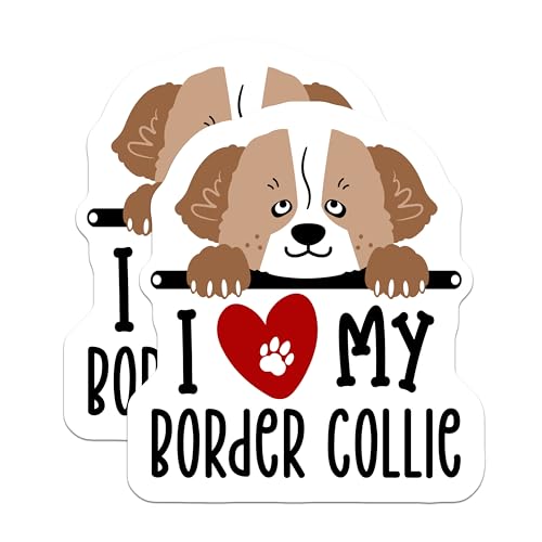 (2 Pack) I Love My Border Collie Magnets - Dog Lover Accessories - Pet Owner Fridge Magnets - 5" On Longest Side - for Cars, Fridges, Toolboxes - Made in USA - MAG4301