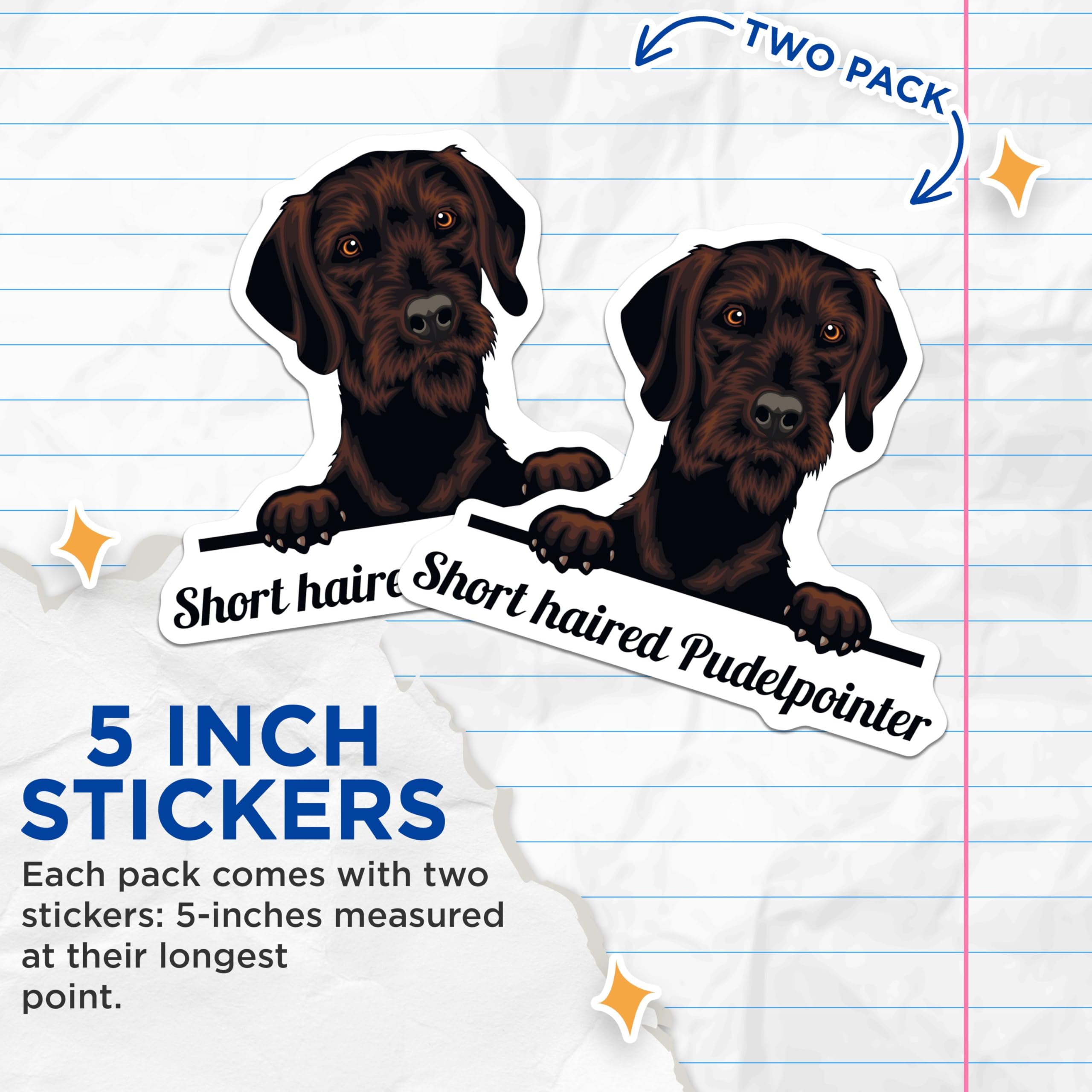 (2 Pack) Short Haired Pudelpointer Stickers - Cute Dog Decal - Animal Lover Stickers - 5" On Longest Side - Sticks to Smooth Flat Surfaces - Made in USA - BMCS4228