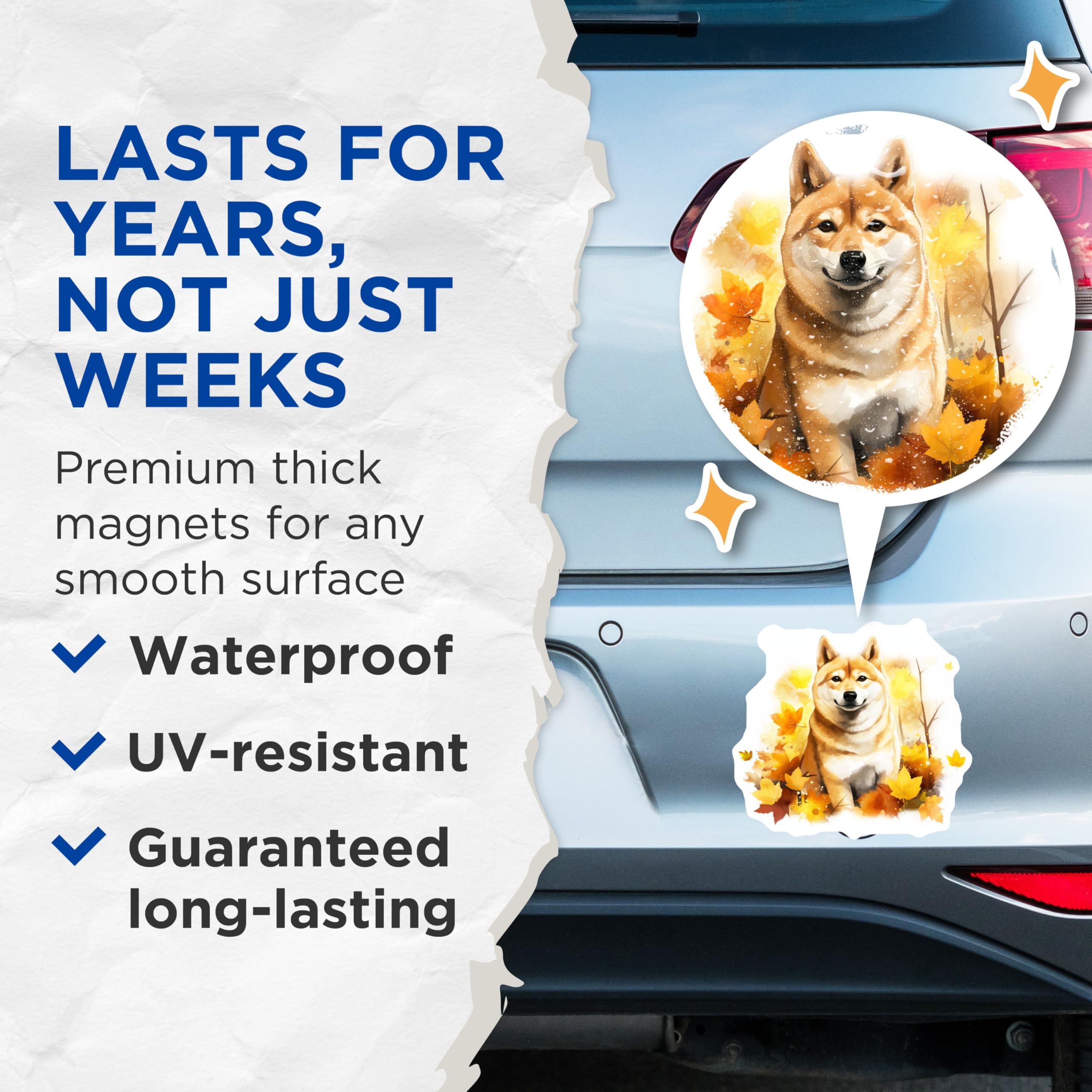 (2 Pack) Shiba Inu Dog Magnets - Autumn Leaves Decor - Cute Japanese Breed Pet Lover Refrigerator Magnets - 5 Inches On Longest Side - Thick Durable Magnet - Made in USA - MAG25486