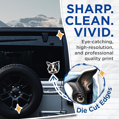 (2 Pack) Cute Dog Stickers - Boston Terrier Sticker - Dog Lover Gift Stickers - 5" On Longest Side - Sticks to Smooth Flat Surfaces - Made in USA - BMCS9884