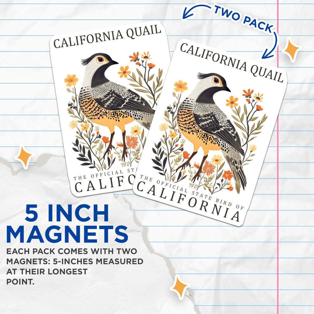 (2 Pack) California Quail Magnets - State Bird Magnets - Nature Lover Decor - 5" On Longest Side - Premium Magnet - for Cars, Refrigerators, Toolboxes, Lockers - Made in USA - MAG17394