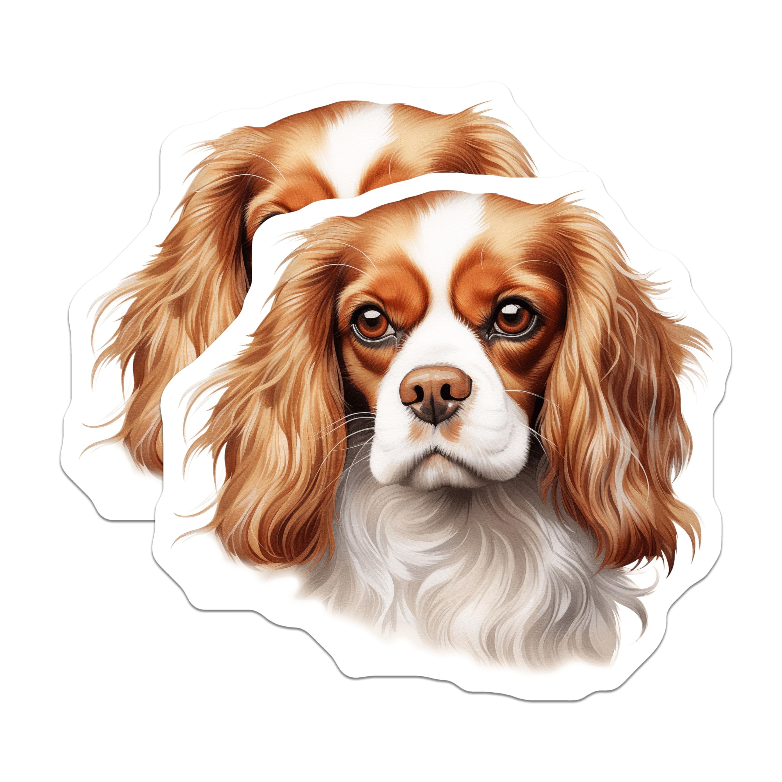 (2 Pack) Cavalier King Charles Spaniel Magnets - Dog Lover Decor - Pet Parent Refrigerator Art - 5 Inches On Longest Side - Thick Durable Magnet - Made in USA - MAG26740