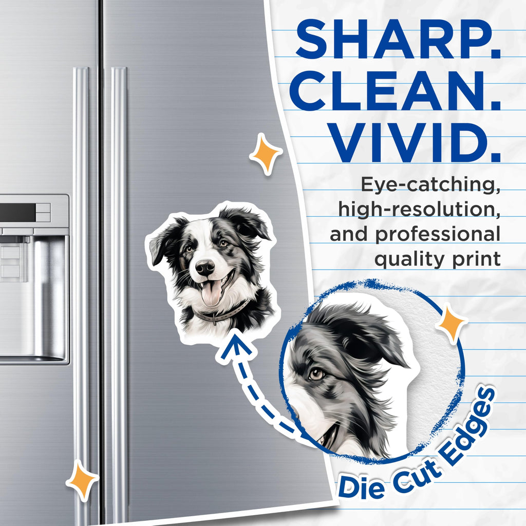 (2 Pack) Border Collie Dog Magnets - Happy Pet Portrait Artwork - Dog Mom Dad Fridge Locker Decor - 5 Inches On Longest Side - Thick Durable Magnet - Made in USA - MAG30218