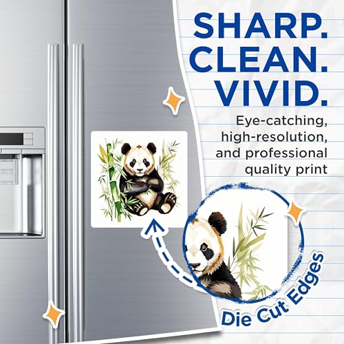 (2 Pack) Panda Bear Magnets Magnets - Cute Bamboo Panda - Refrigerator Decor - 5" On Longest Side - Made in USA - Sticks to Refrigerators & Metal Surfaces - MAG8704