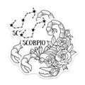 (2 Pack) Scorpio Zodiac Stickers - Astrology Constellation Decal - Horoscope Vinyl Art - 5" On Longest Side - Sticks to Smooth Flat Surfaces - Made in USA - BMCS5851