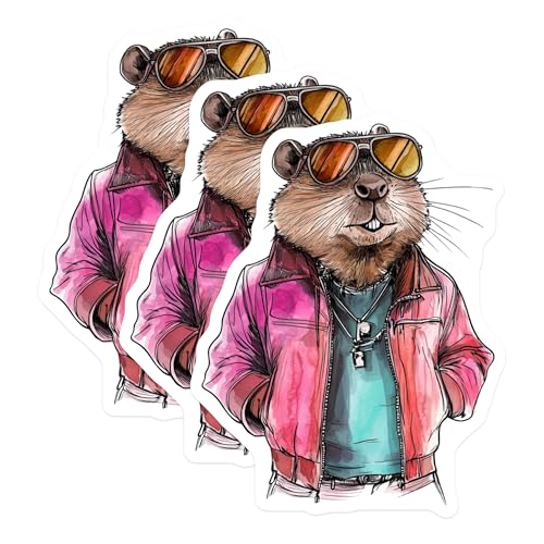 (3 Pack) Groundhog Decals - Cool Groundhog - Laptop Decals - 3 Inches On Longest Side - Easy Peel & Apply - Made in USA - 3MCS8277