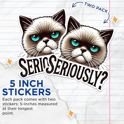 (2 Pack) Grumpy Cat Meme Stickers - Funny Cat Expression Stickers - Seriously Cat Stickers - 5" On Longest Side - Sticks to Any Smooth Flat Surface - Made in USA - BMCS2793