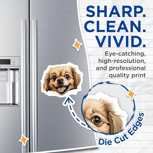 (2 Pack) Adorable Puppy Fridge Dec Magnet - Animal Lover Car Decal - 5" On Longest Side - Sticks to Smooth Flat Surfaces - Made in USA - MAG10326