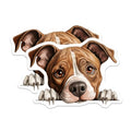 (2 Pack) Dog Lover Stickers - Cute Puppy Art - Adorable Dog Faces - 5" On Longest Side - Sticks to Smooth Flat Surfaces - Made in USA - BMCS9827