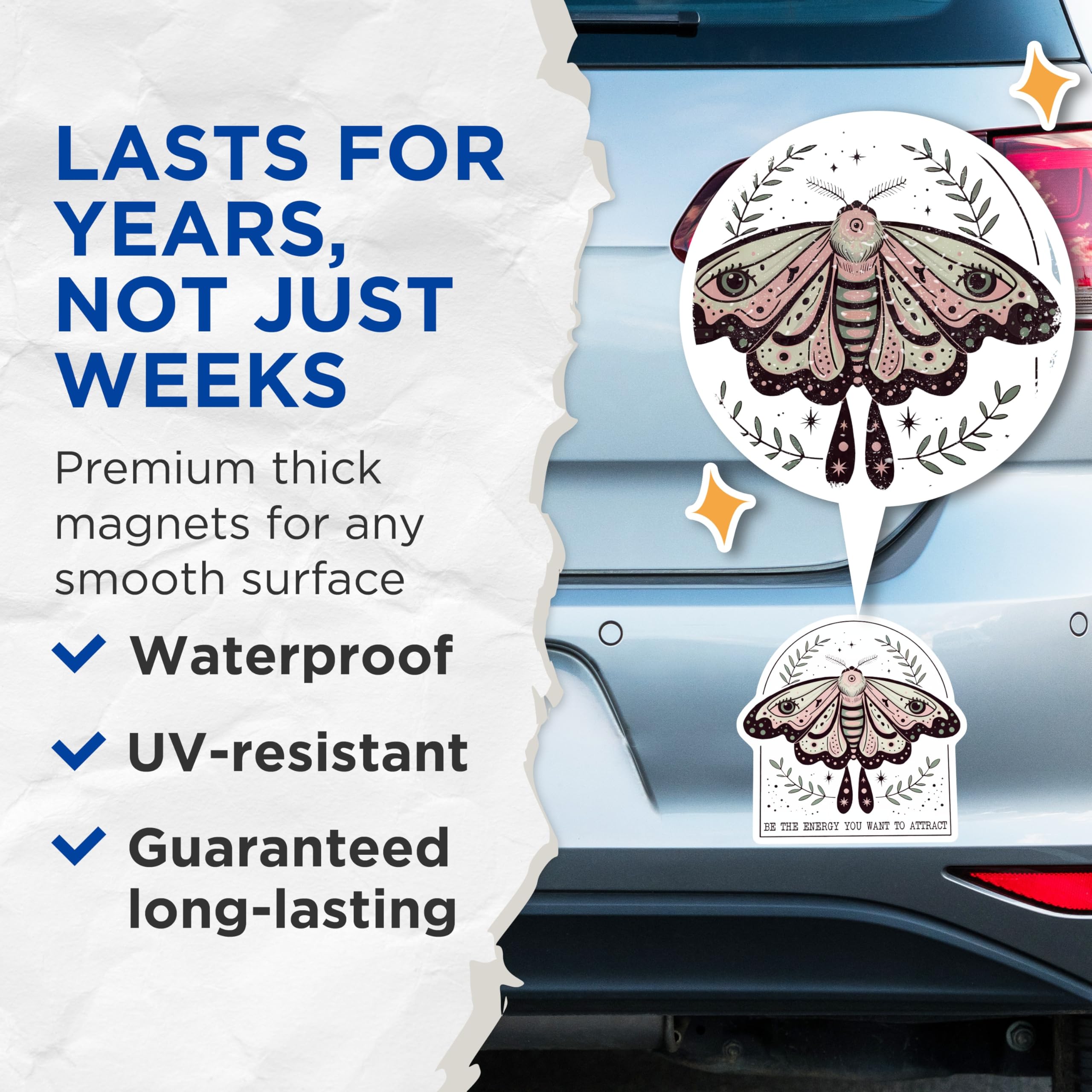 (2 Pack) Moth Magnets - Botanical Decor - Inspirational Quote - 5" On Longest Side - Premium Magnet - for Cars, Refrigerators, Toolboxes, Lockers - Made in USA - MAG17749