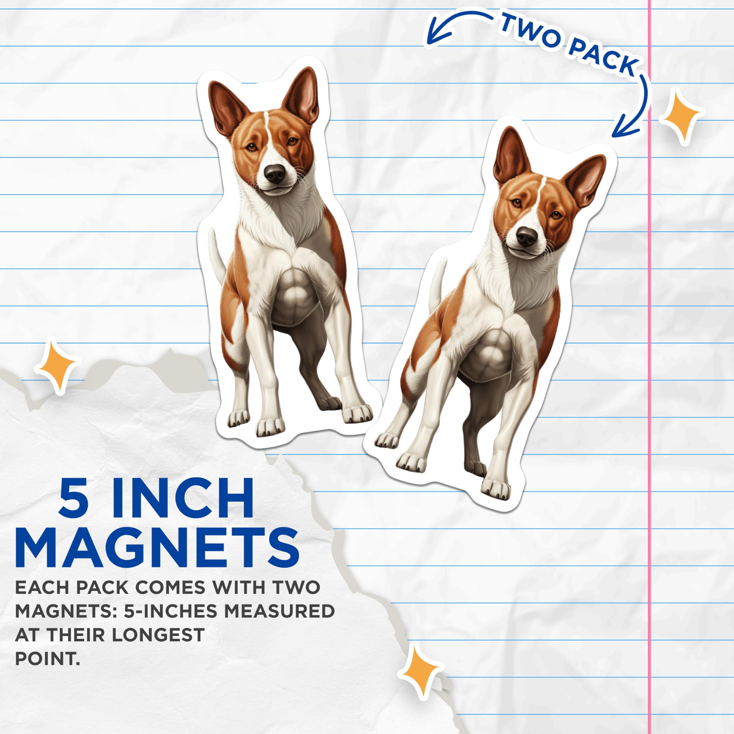 (2 Pack) Basenji Dog Magnets - Dog Lover Fridge Decor - Pet Owner Kennel Art - 5 Inches On Longest Side - Thick Durable Magnet - Made in USA - MAG28235