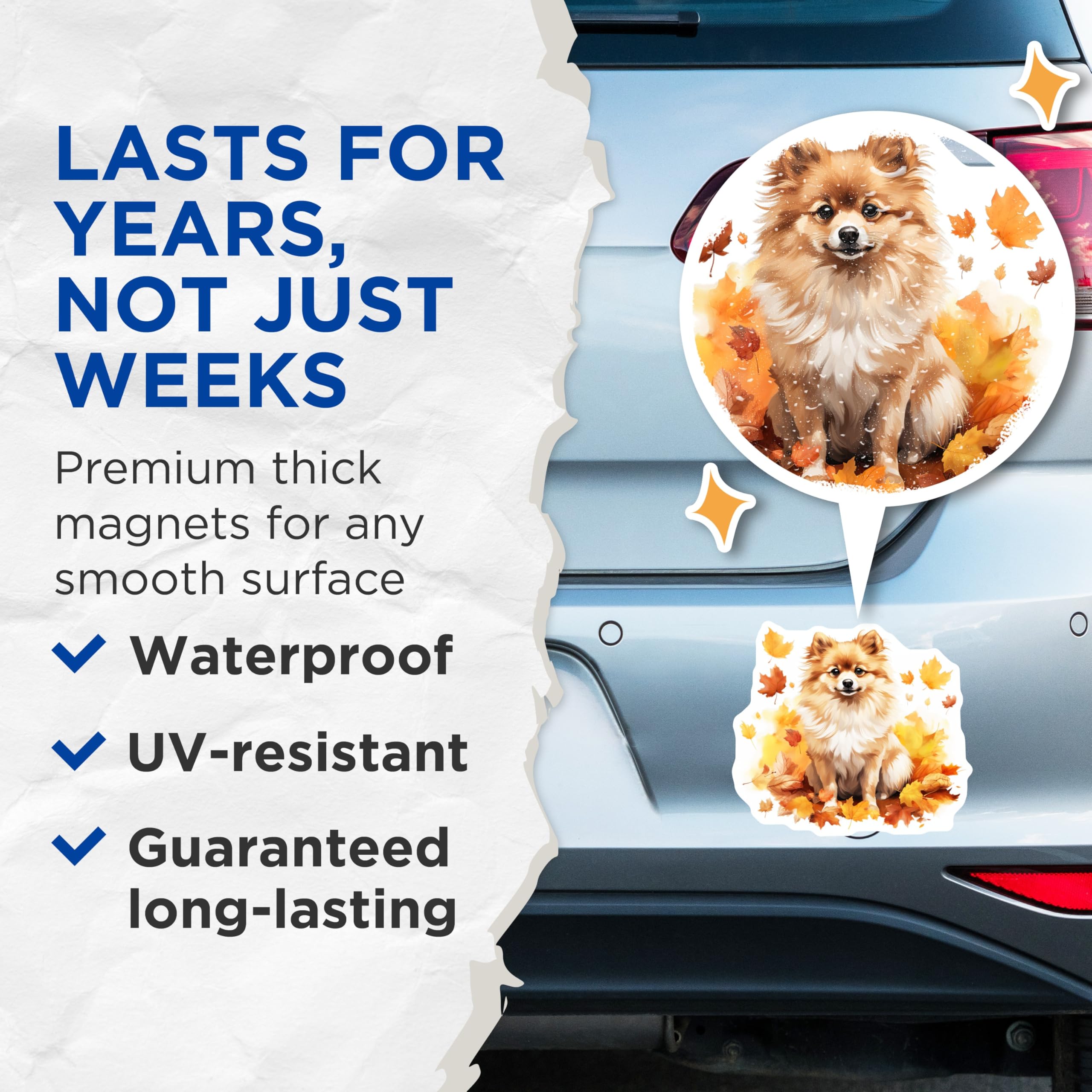 (2 Pack) Cute Pomeranian Dog Magnets - Autumn Fall Pet Lover Decor - Seasonal Refrigerator Locker Accessories - 5 Inches On Longest Side - Thick Durable Magnet - Made in USA - MAG25581