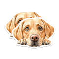 (2 Pack) Labrador Magnets - Dog Breed Lover - Refrigerator Home Decor - 5" On Longest Side - Premium Magnet - for Cars, Refrigerators, Toolboxes, Lockers - Made in USA - MAG16266
