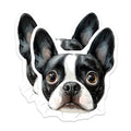 (2 Pack) Boston Terrier Magnets - Dog Lover Decor - Fridge Magnets - 5" On Longest Side - Premium Magnet - for Cars, Refrigerators, Toolboxes, Lockers - Made in USA - MAG15302