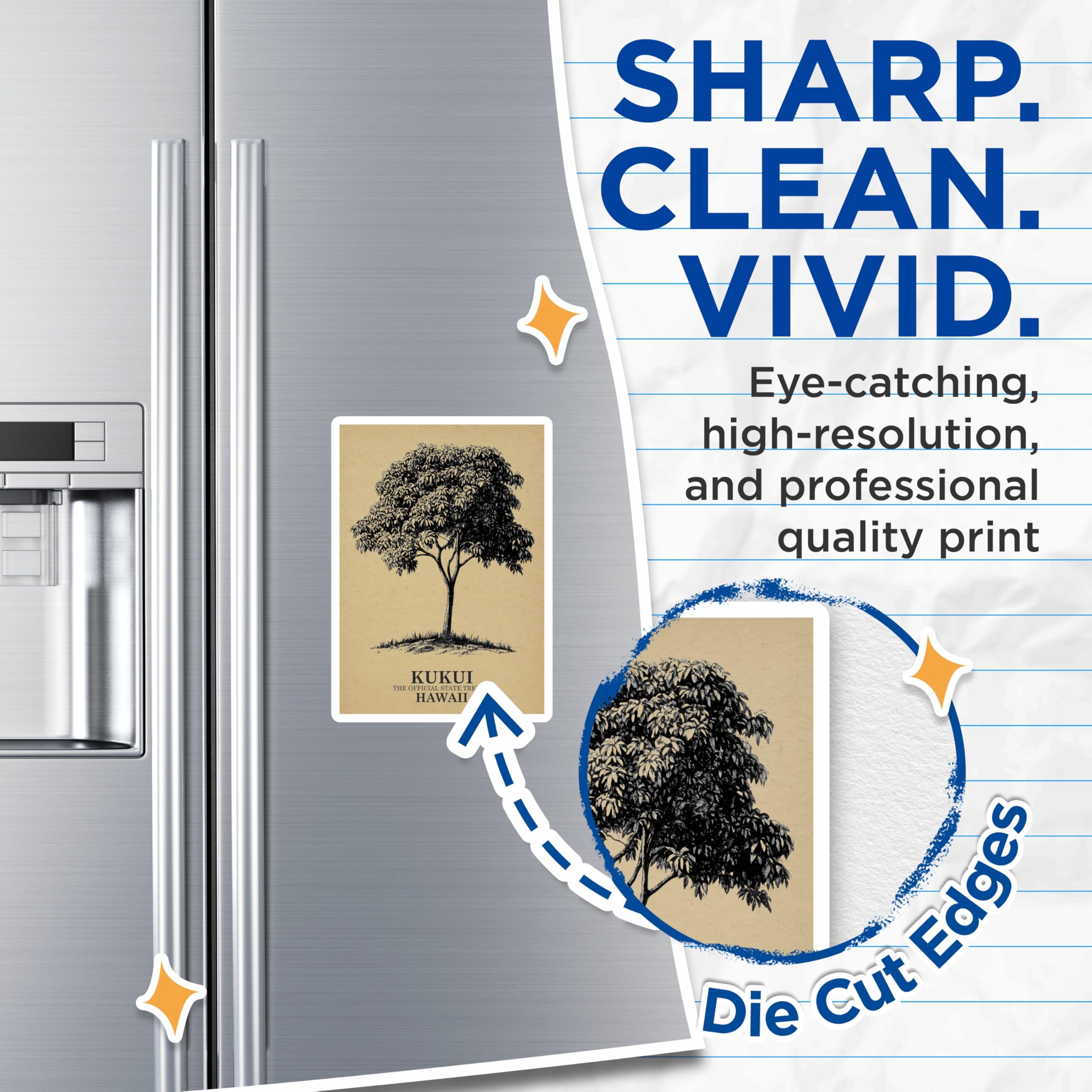 (2 Pack) Kukui Tree Magnets - Hawaiian State Tree - Nature Botanical Refrigerator Magnets - 5" On Longest Side - Premium Magnet - for Cars, Refrigerators, Toolboxes, Lockers - Made in USA - MAG18089