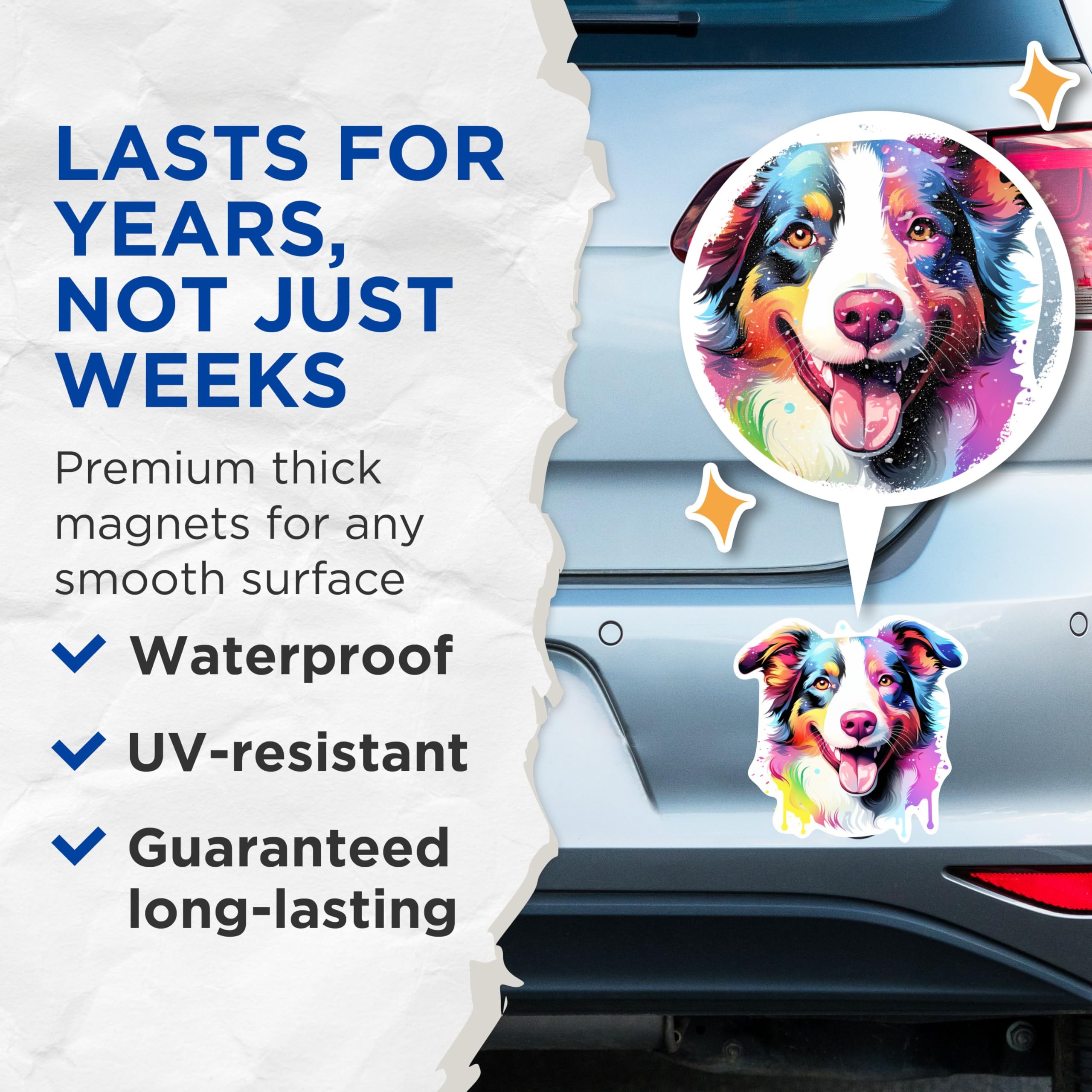 (2 Pack) Border Collie Dog Breed Magnets - 5 Inches On Longest Side - Choose from Over 100 Dog Breeds - for Cars, Refrigerators, Toolboxes - Made in USA - MAG1783